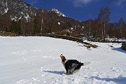 16 Nika coglie al volo le palle di neve